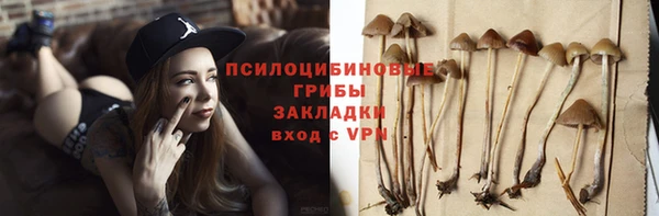 гидропоника Балабаново