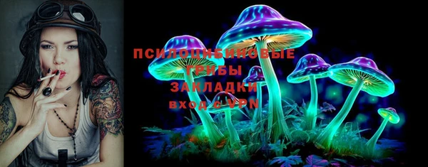 мдпв Володарск