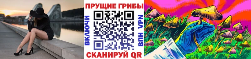 купить закладку  Вельск  Псилоцибиновые грибы Psilocybe 